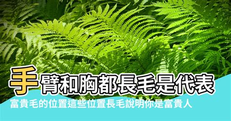 背後有毛|【背後長毛】揭秘背後長毛的奧秘：富貴還是厄運？ – 最新新聞